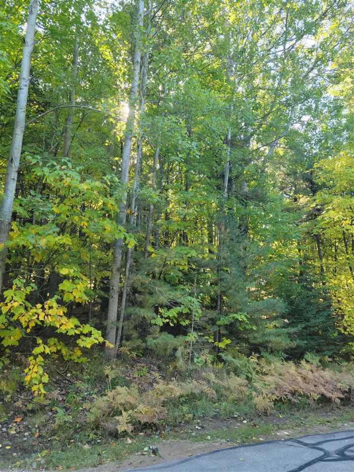 Lot #16 N Country Club Drive