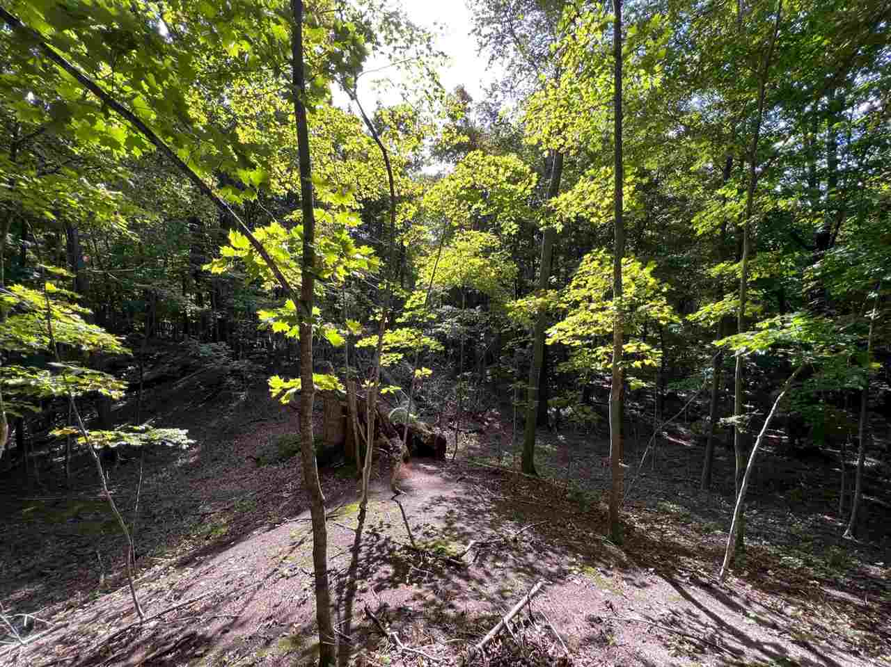 0 ziebarth logging rd