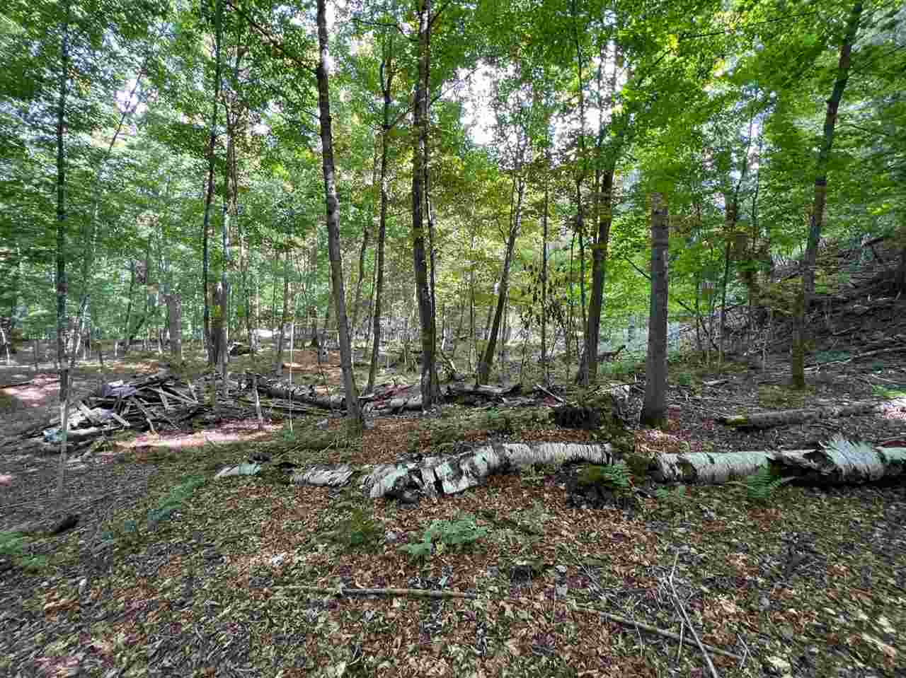 0 ziebarth logging rd