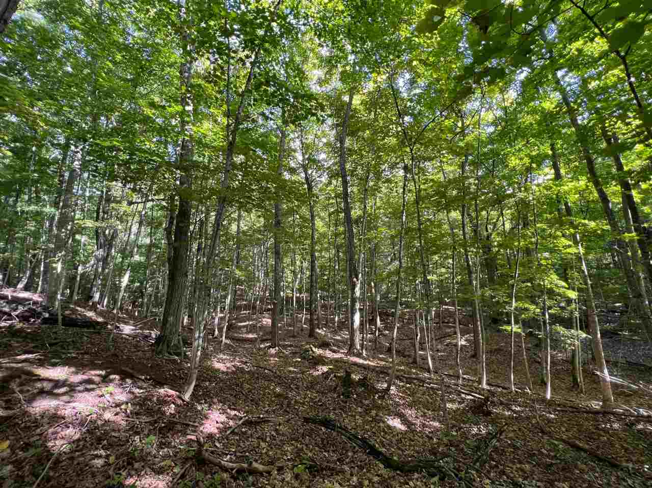 0 ziebarth logging rd