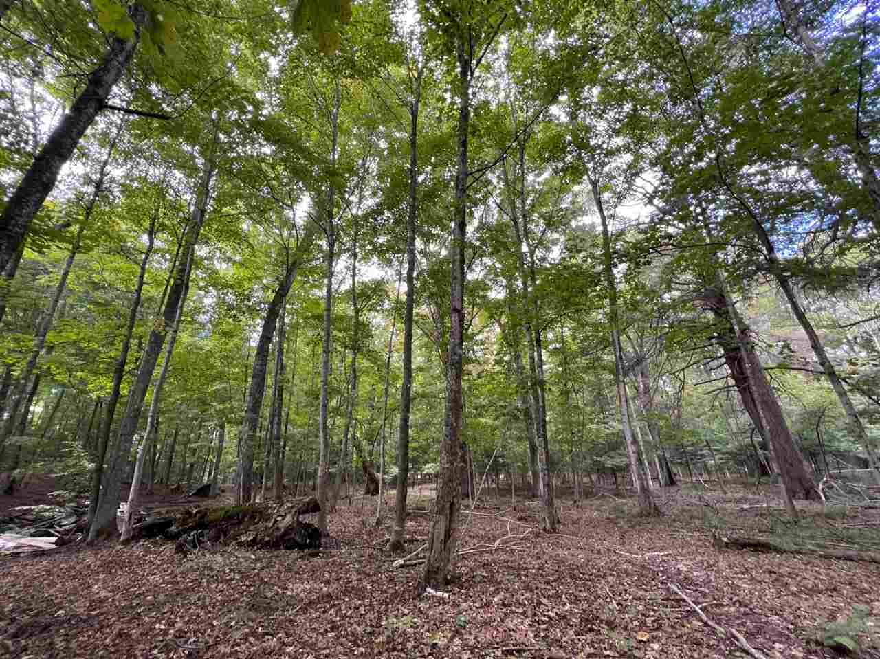 0 ziebarth logging rd