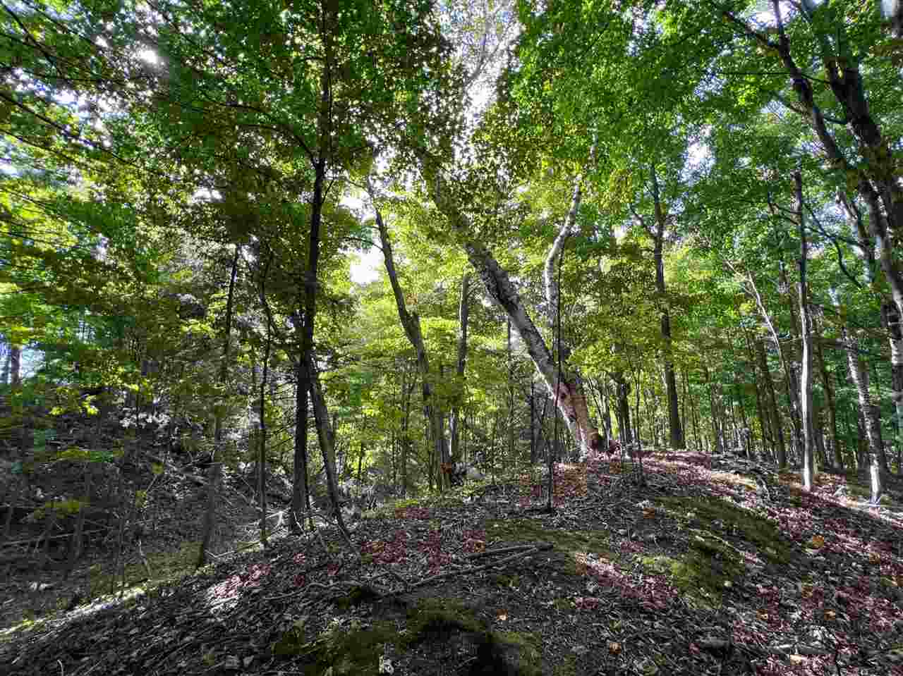 0 ziebarth logging rd