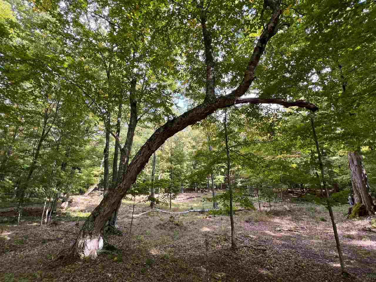 0 ziebarth logging rd