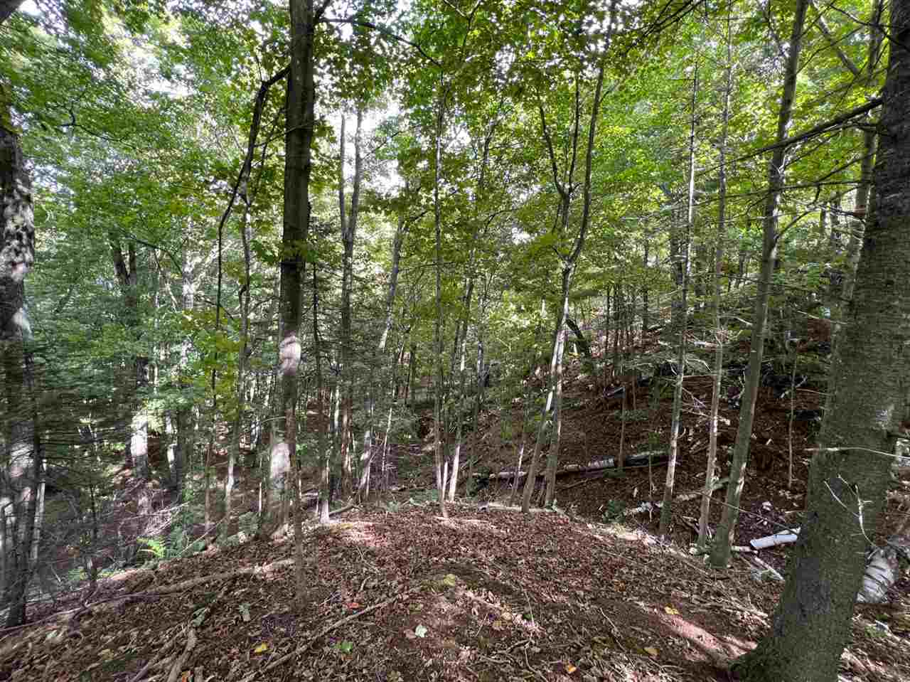 0 ziebarth logging rd