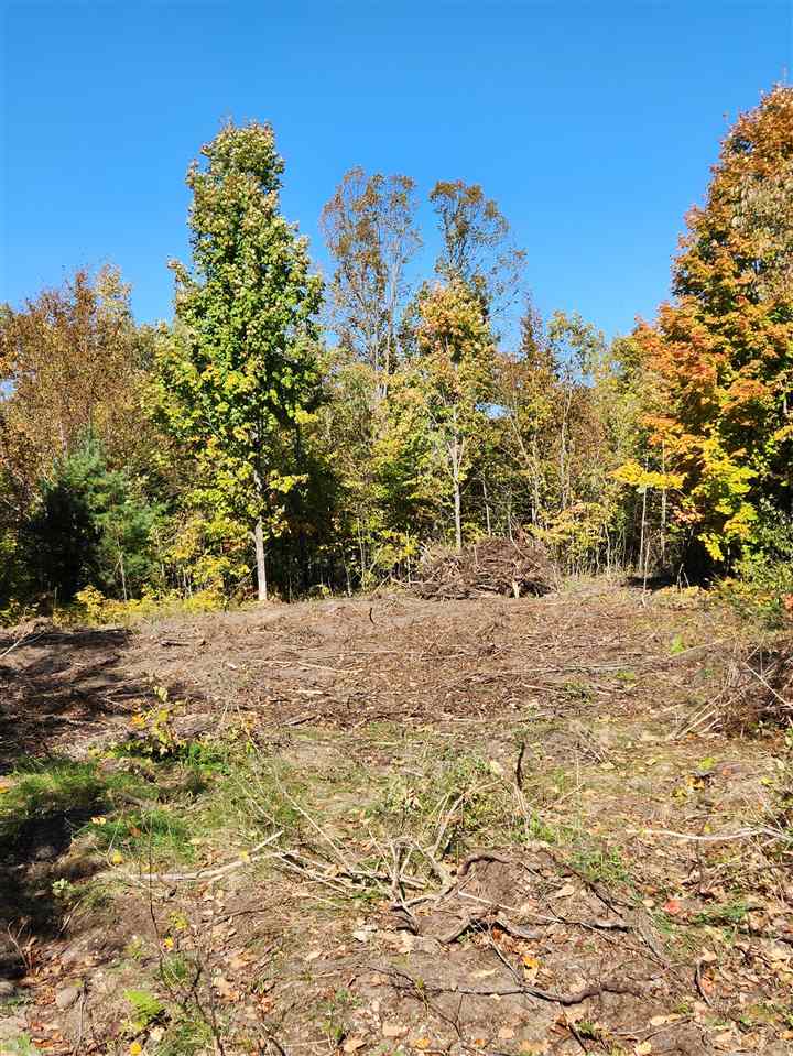 8803 Chickadee Lane Unit: Lot 9