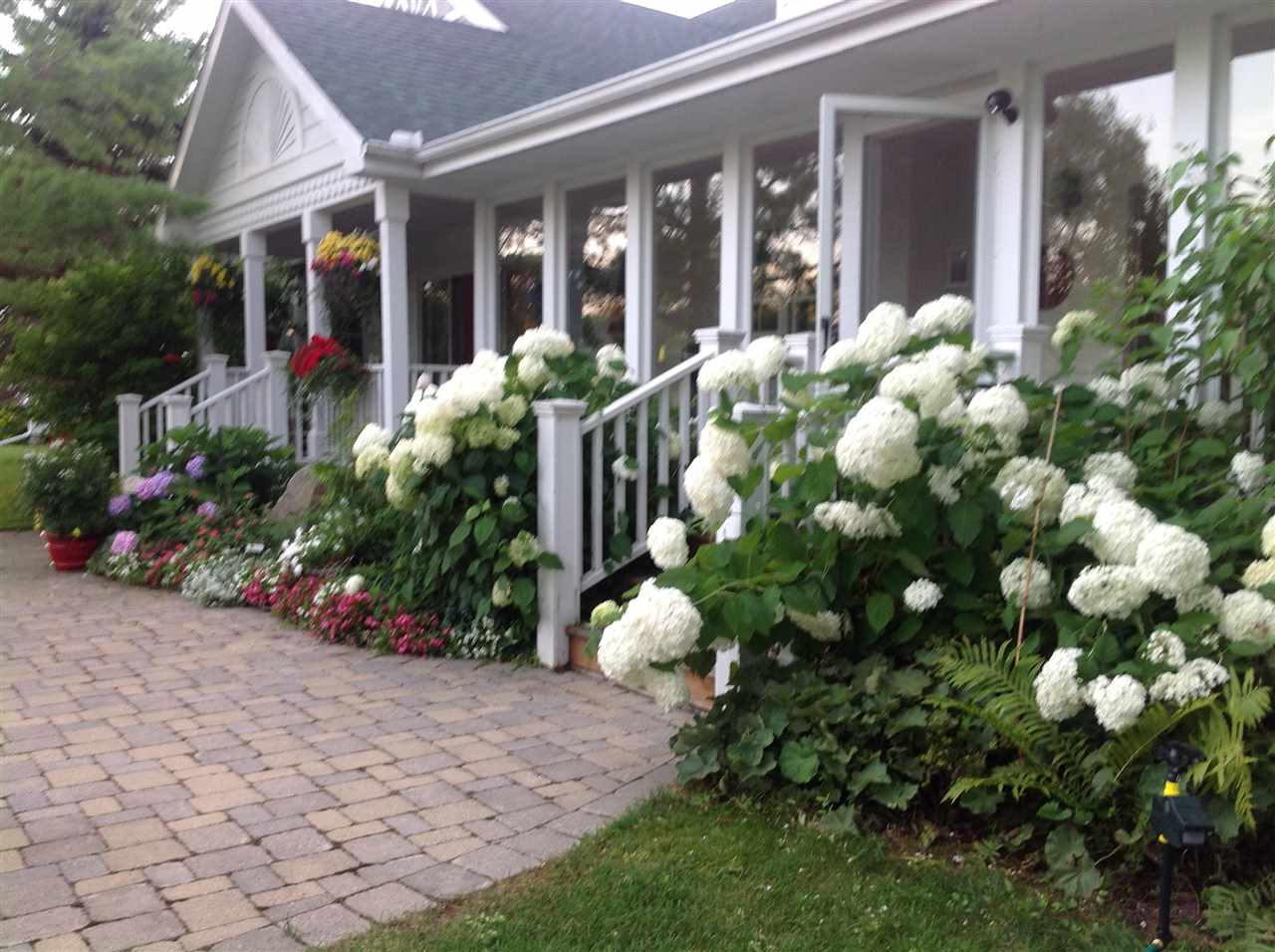 09534 Cottage Pointe Drive