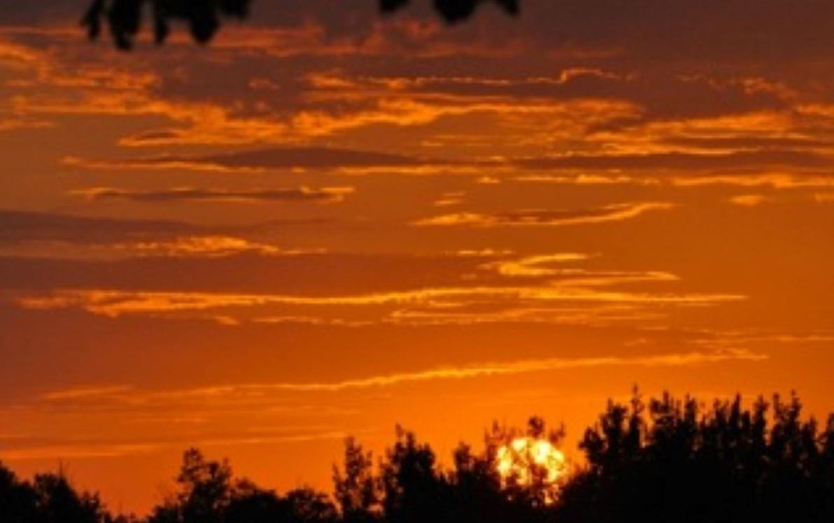 9565 Maple Isle Court