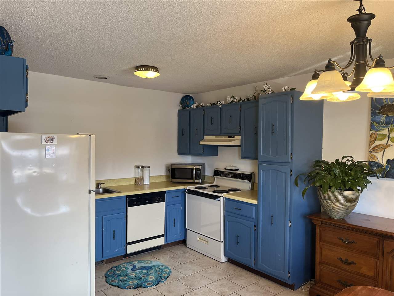 735 #9 Petoskey Avenue Unit: 9