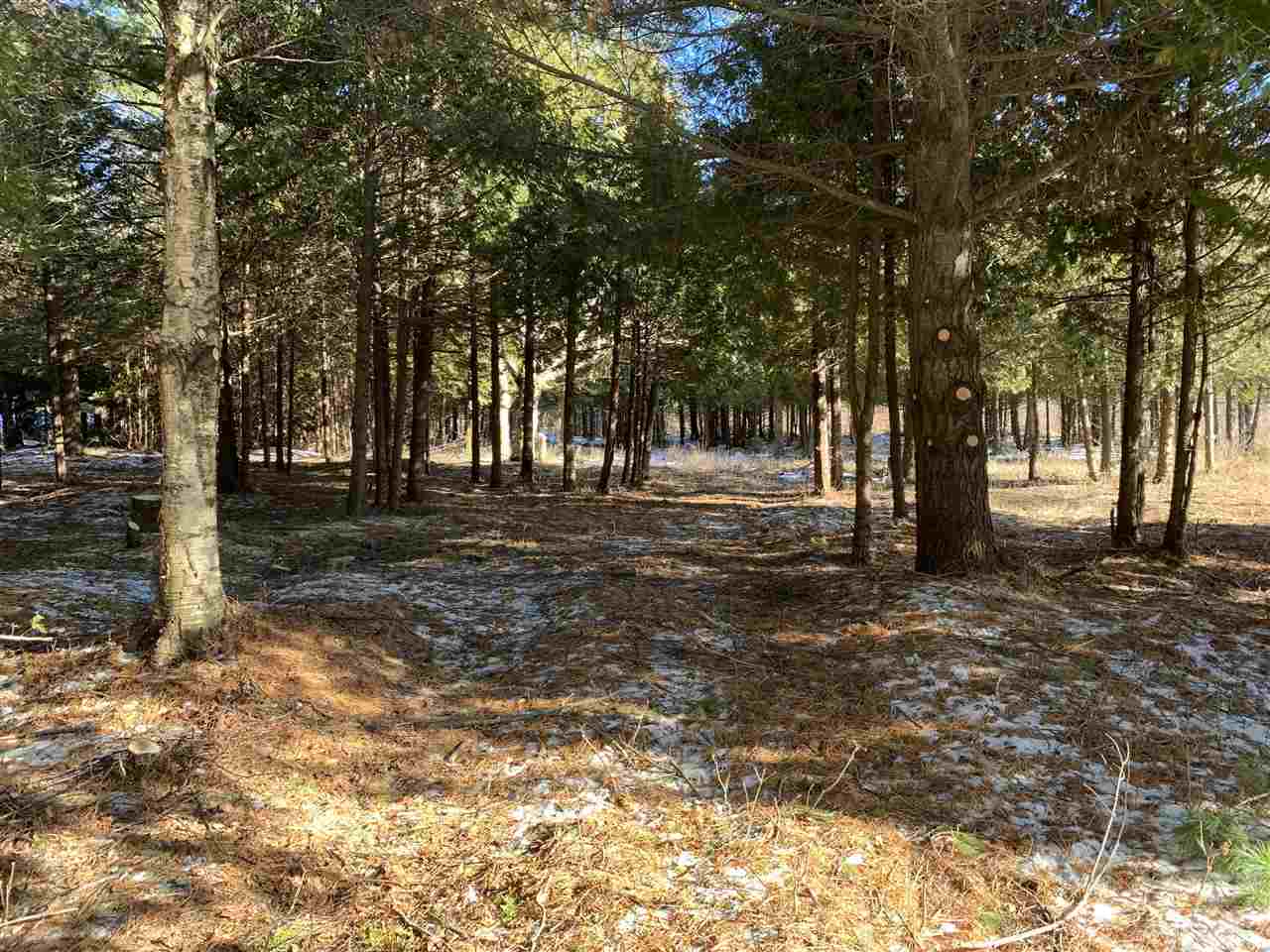 Lot 6 & 7 Stonebridge