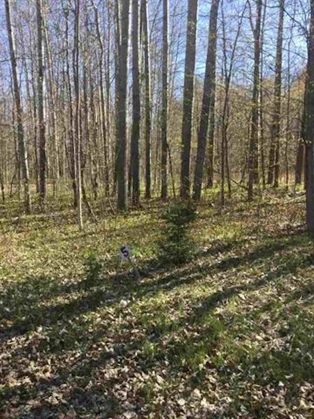 552 Franklin Estates Drive Unit: 3