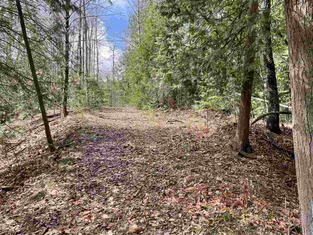 TBD Clark Road