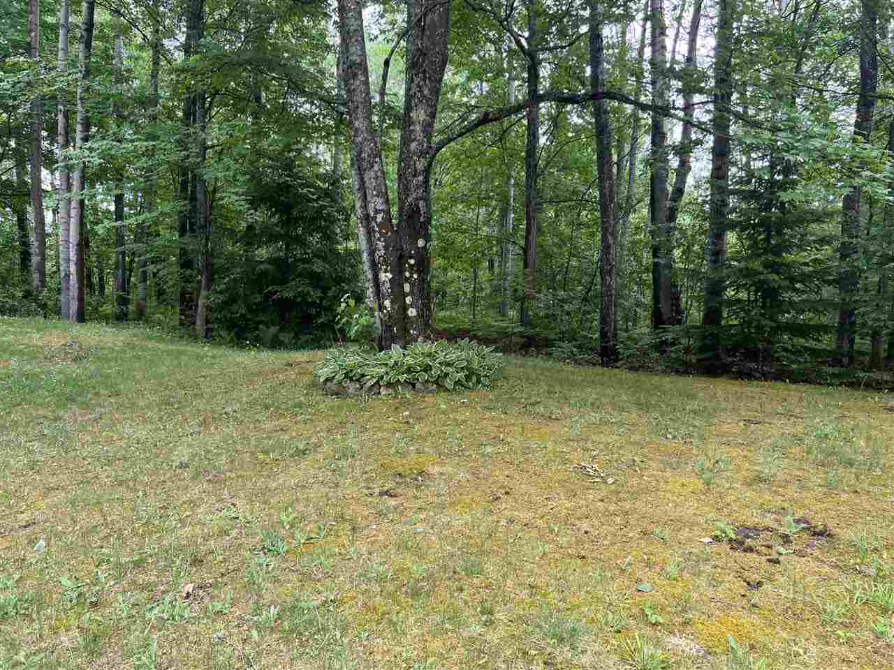 6708 TREMBLE Trail Unit: 3