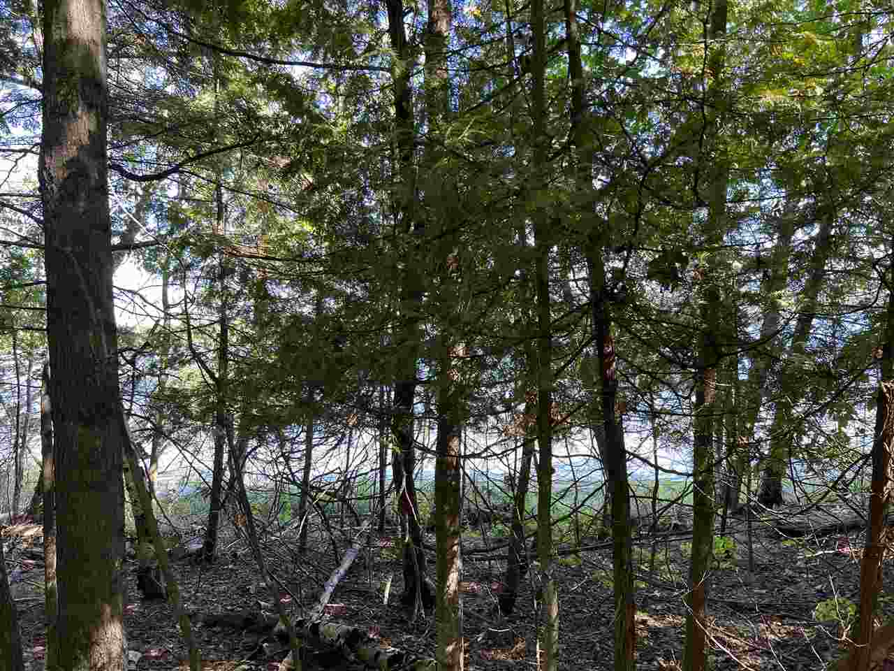 TBD Sleepy Hollow Lane