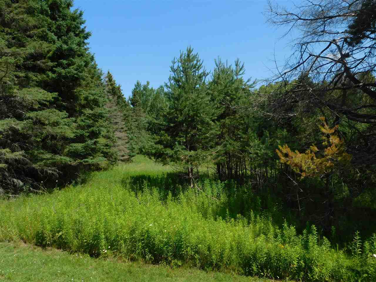 6455 Admiral's Point Drive Unit: Lot #3