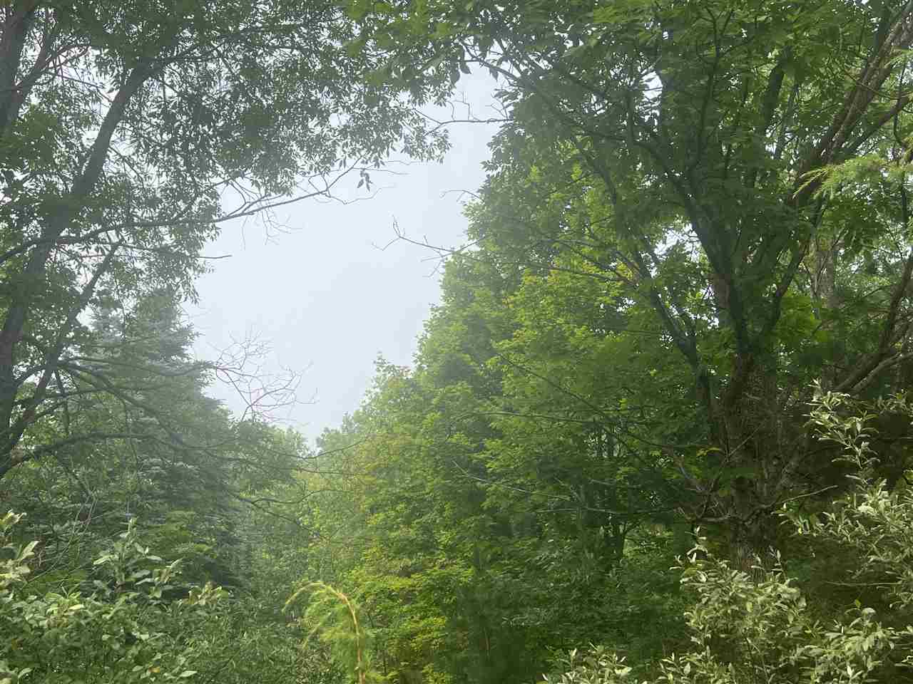 TBD BC/EJ Road