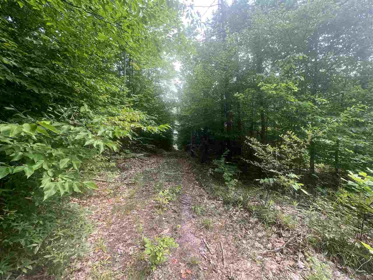 TBD BC/EJ Road