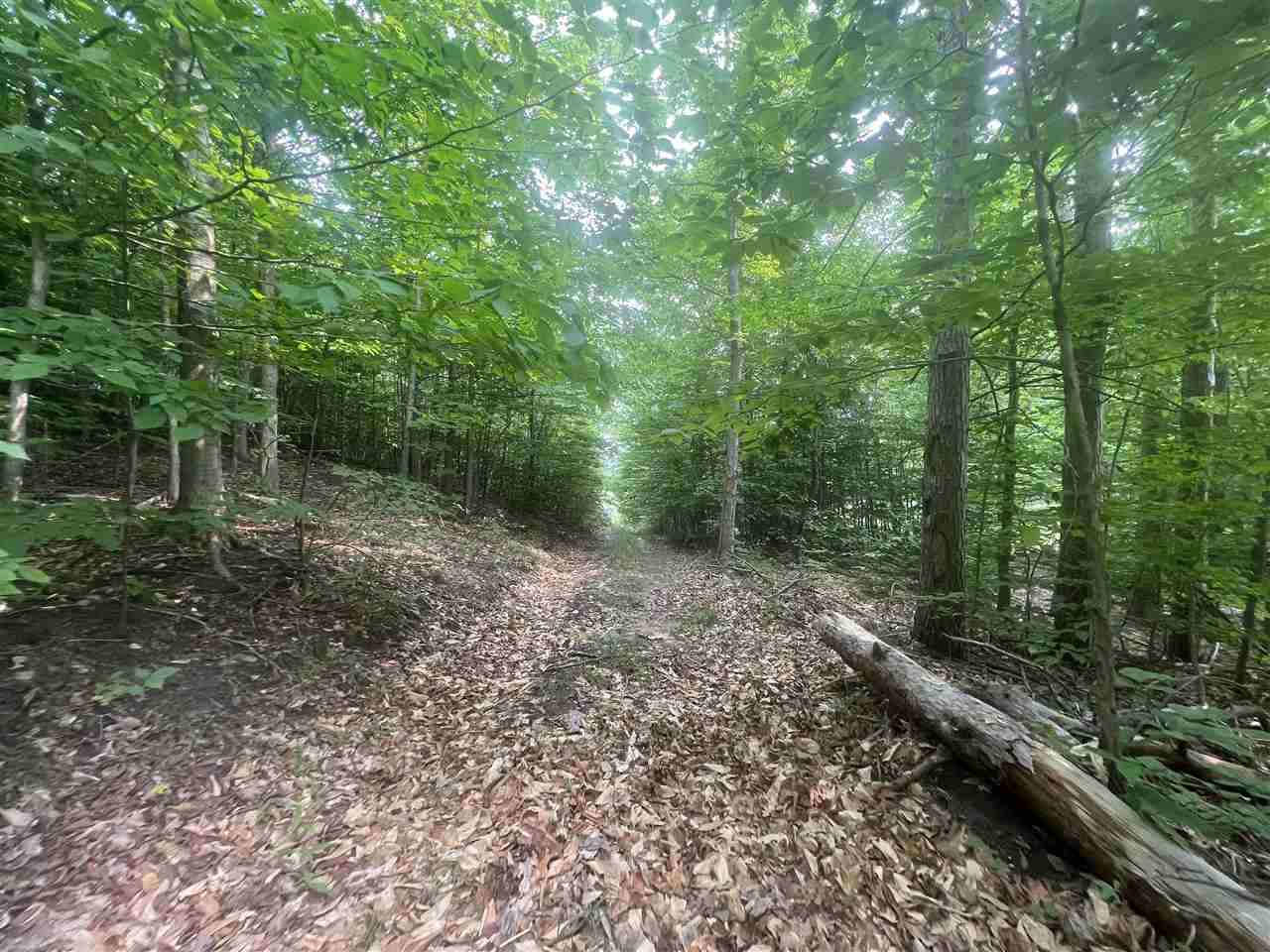 TBD BC/EJ Road