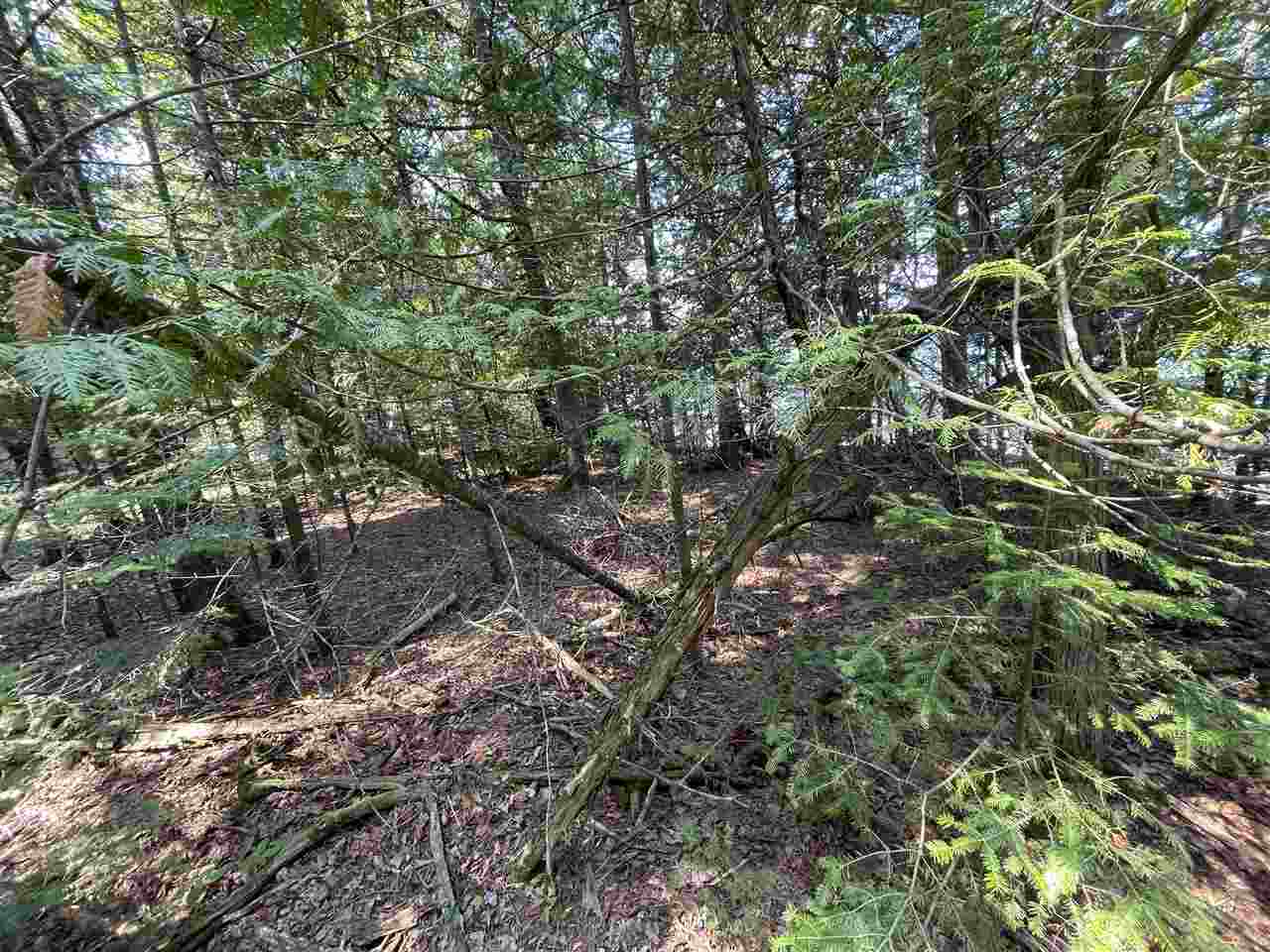 13527 Timberlane Drive