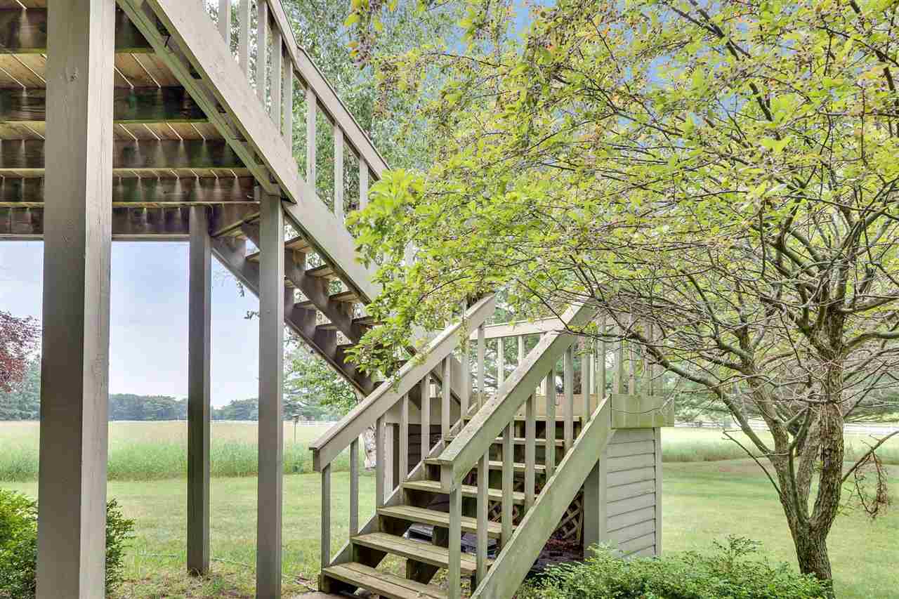 1246 Pine Tree Trail