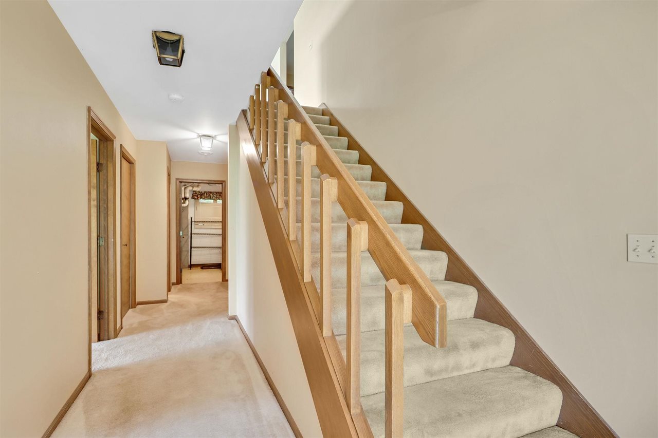 1246 Pine Tree Trail