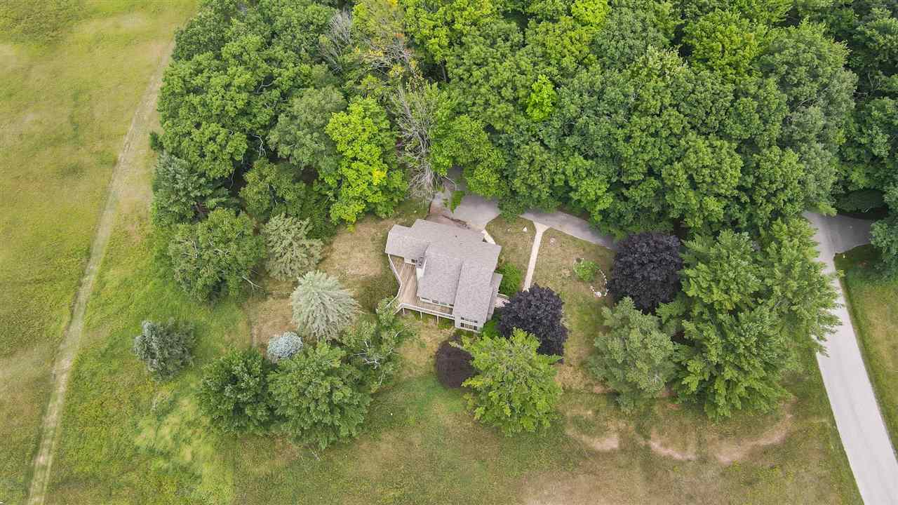 1246 Pine Tree Trail