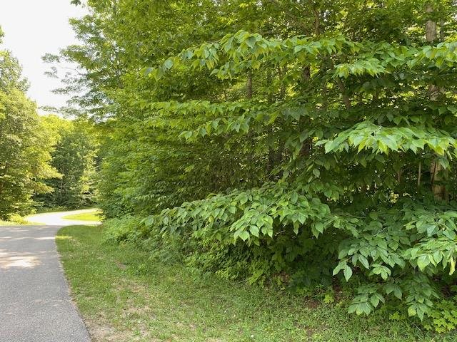 TBD Pleasantview Woods Circle