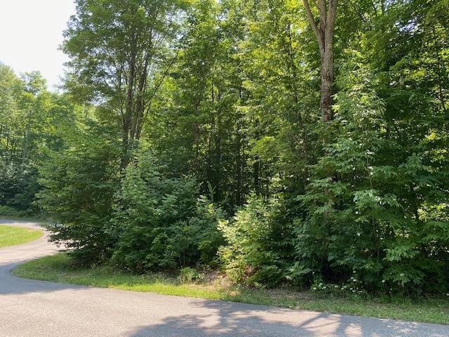 TBD Pleasantview Woods Circle