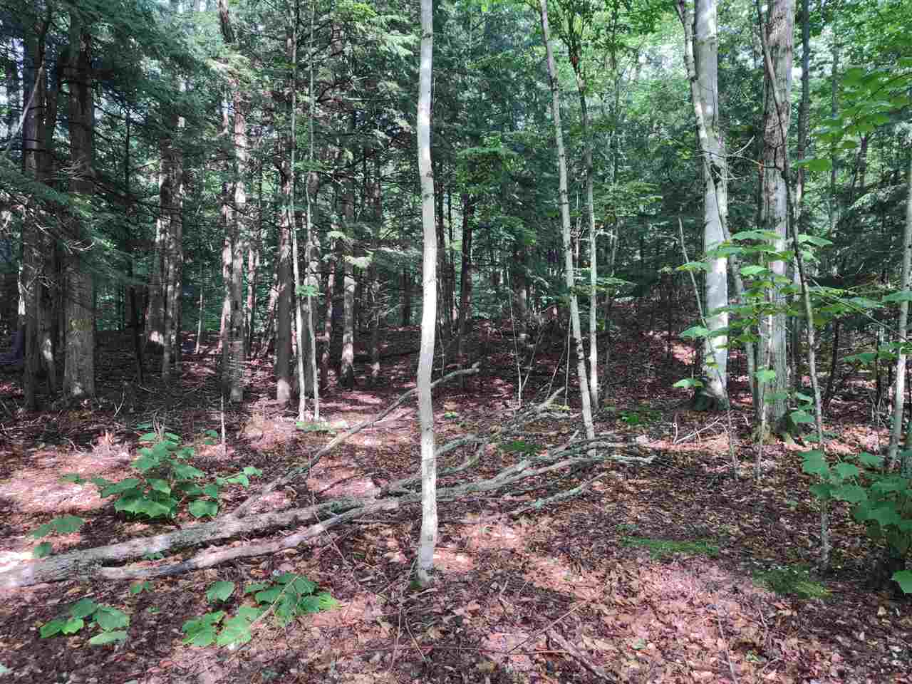 0 Wildwood Lane