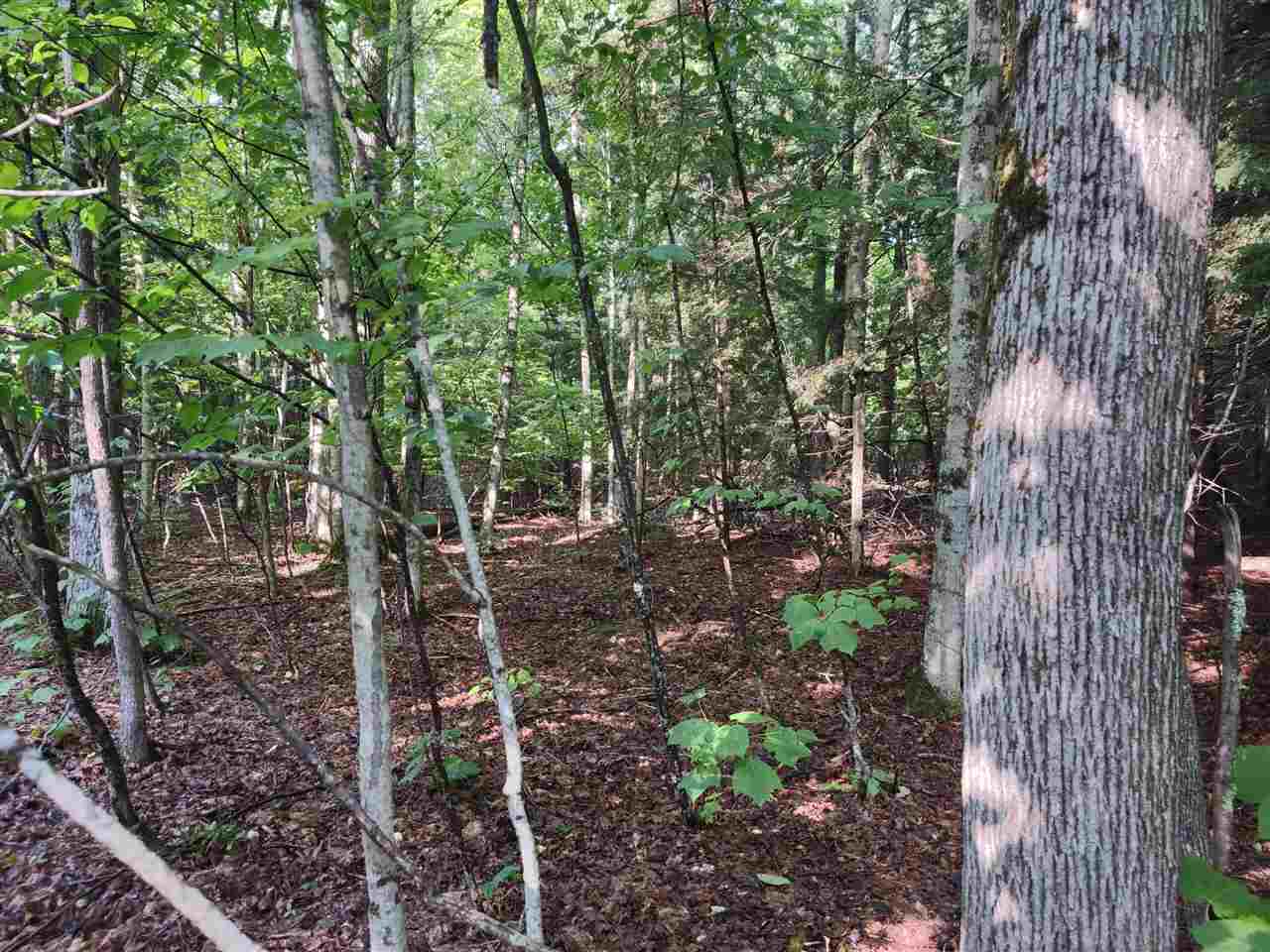 0 Wildwood Lane