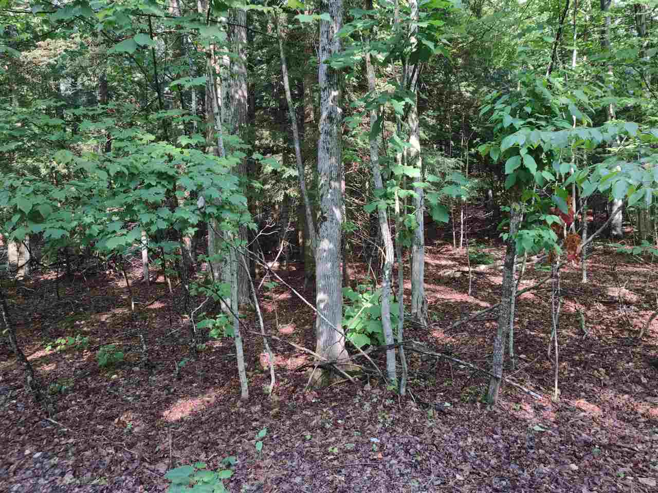 0 Wildwood Lane