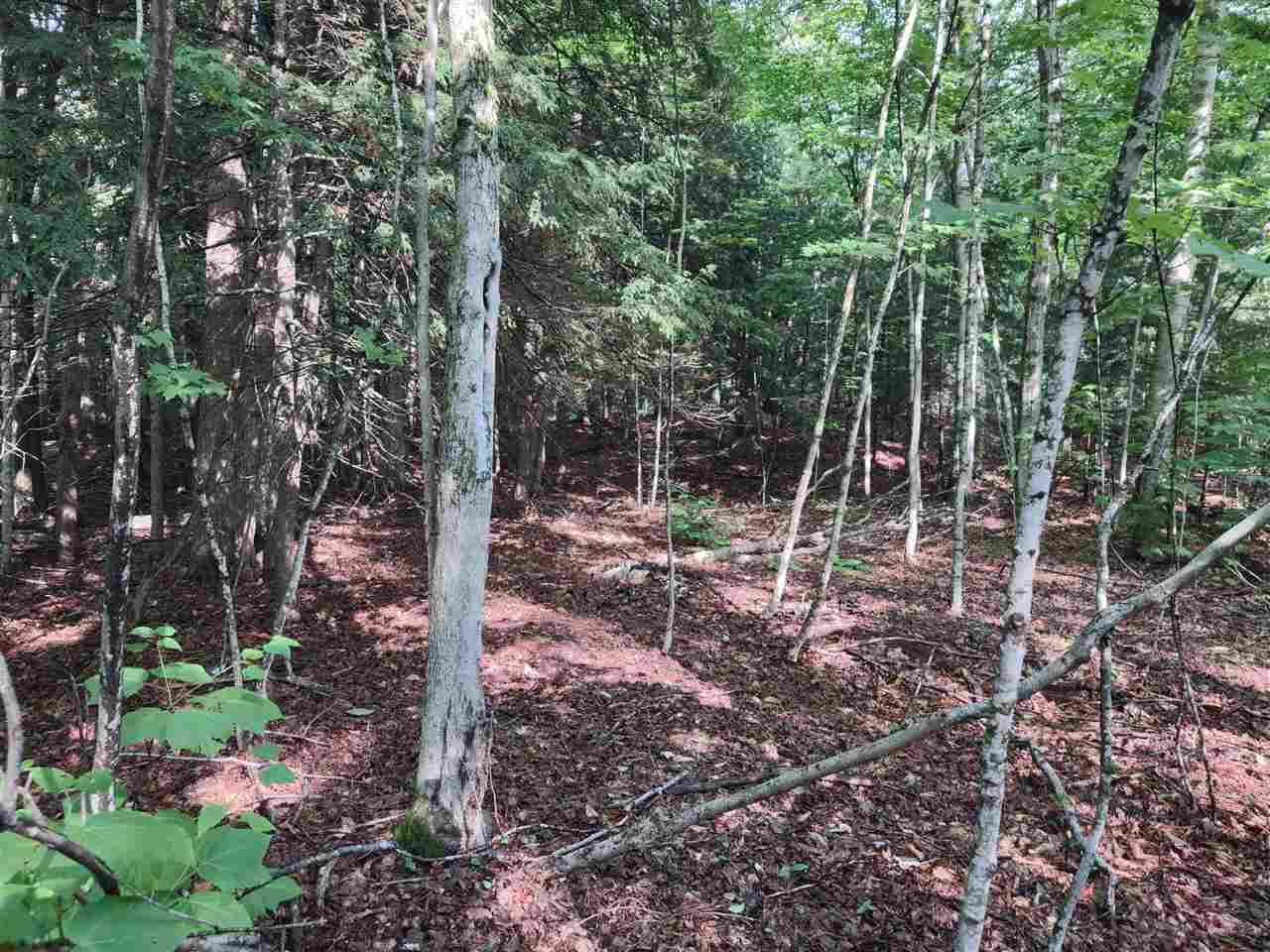 0 Wildwood Lane