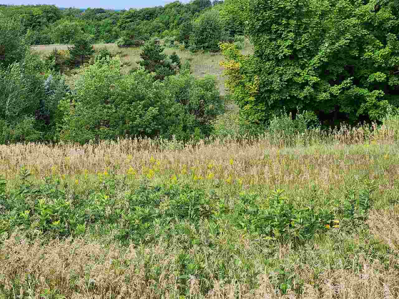 Lot 69 & 70 Tipperary Lane