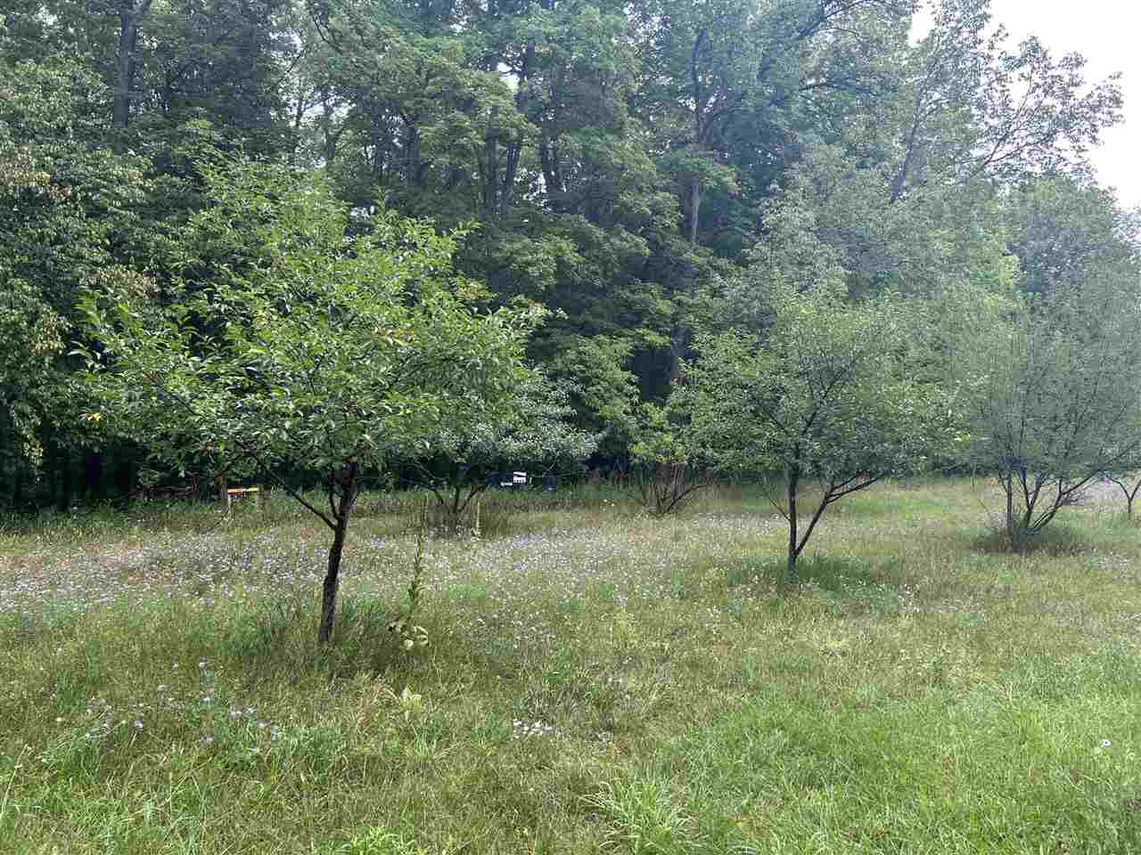 7272 Springvale Road