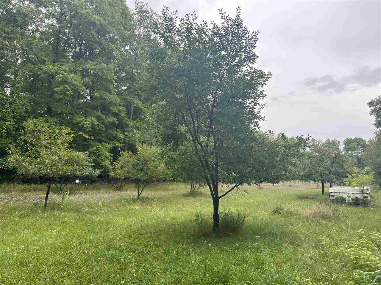 7272 Springvale Road