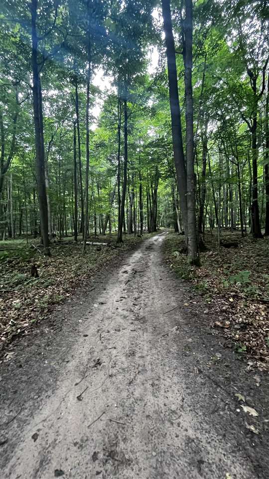 1972 W Townline Road