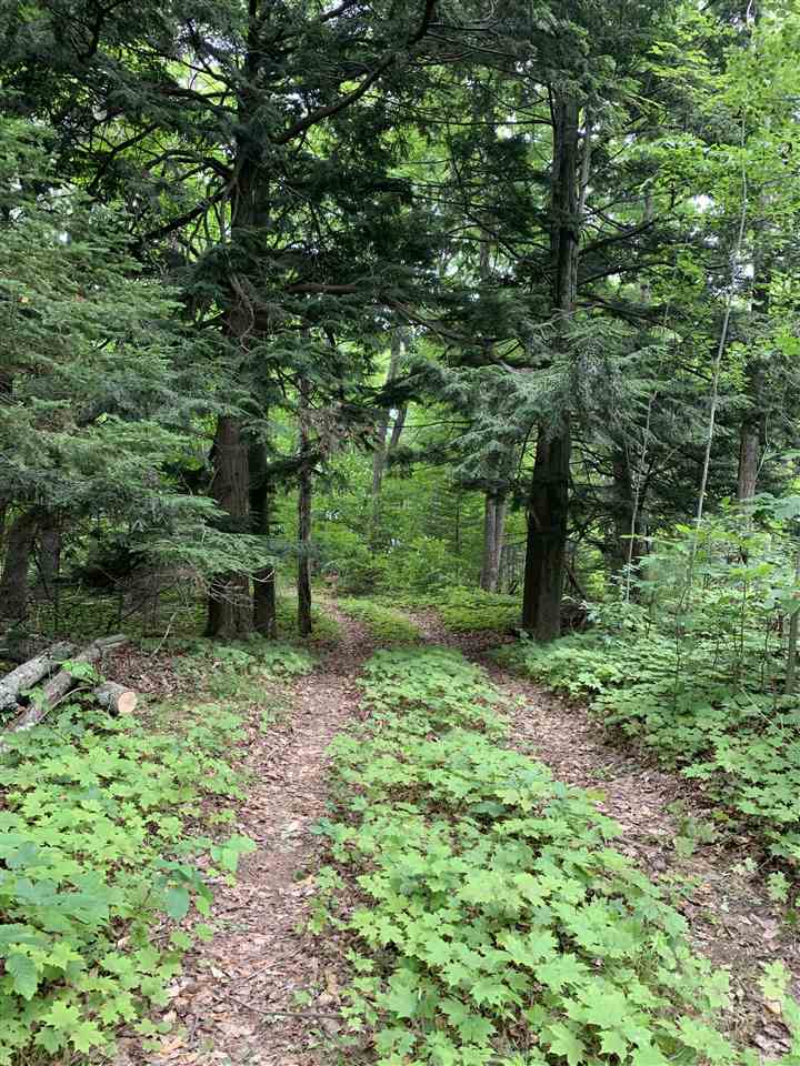 38170 Indian Point Road