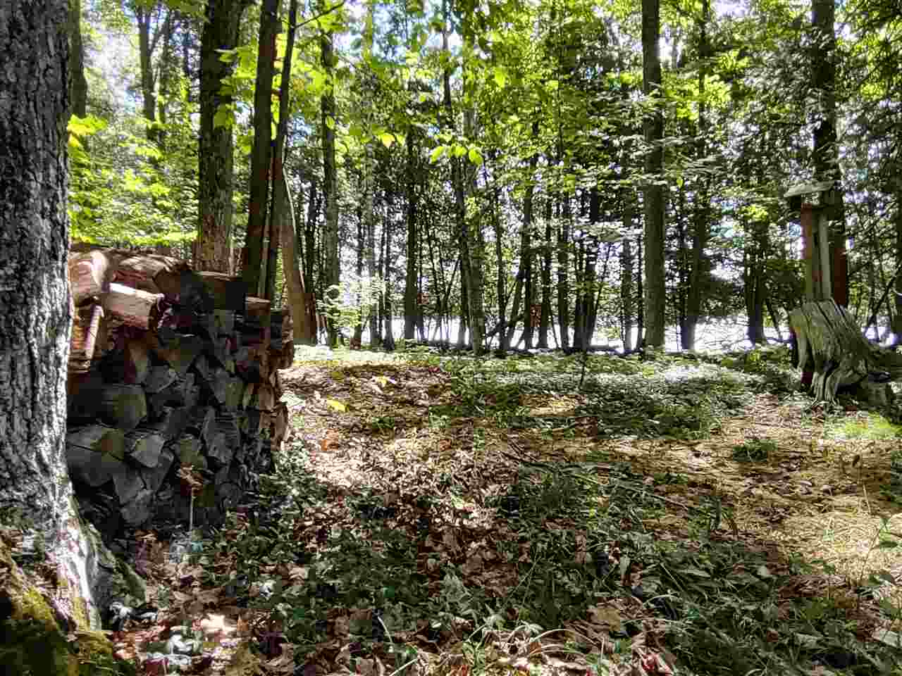 220 S Intermediate Lake Road