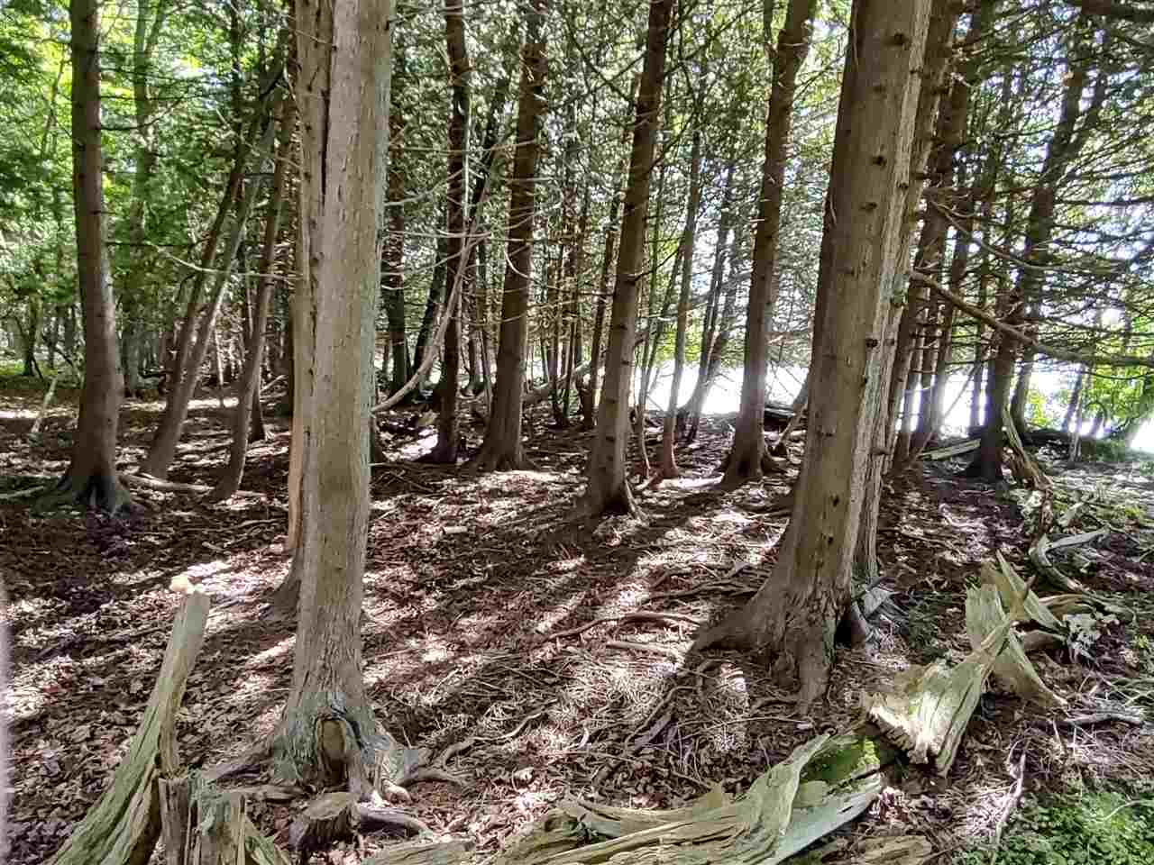 220 S Intermediate Lake Road