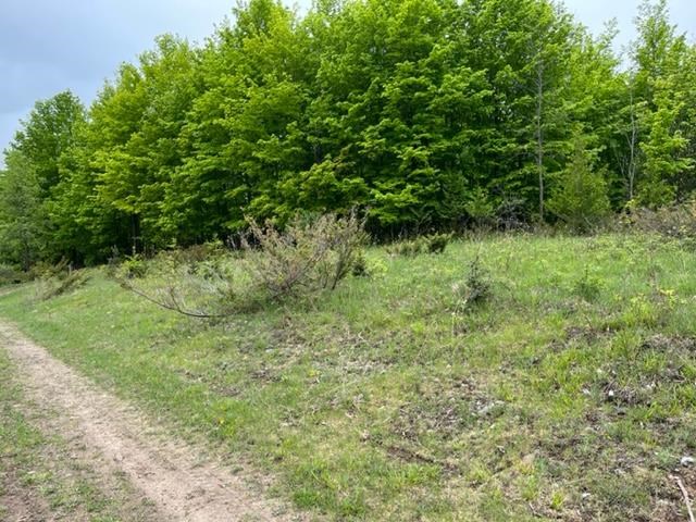 Lot 36B & 36C Kilkenny Lane