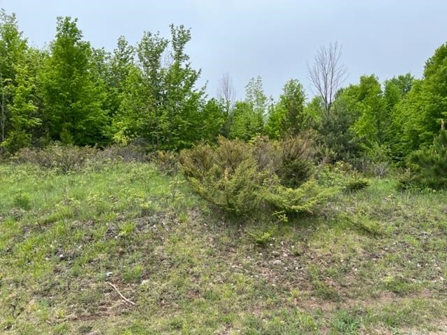 Lot 36B & 36C Kilkenny Lane