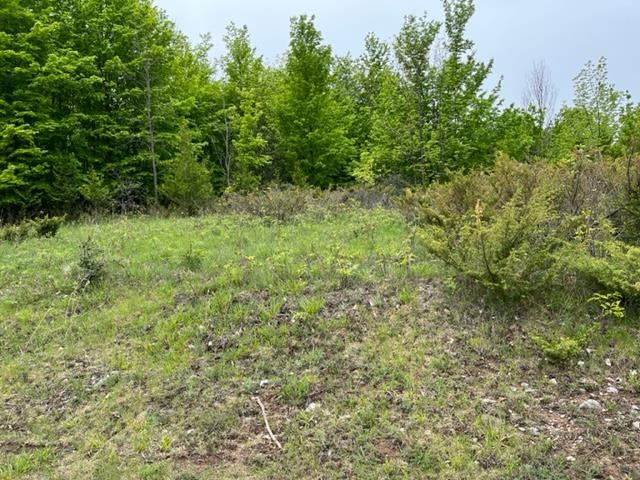 Lot 36B & 36C Kilkenny Lane