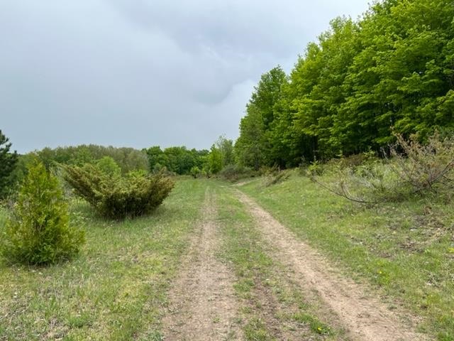 Lot 36B & 36C Kilkenny Lane