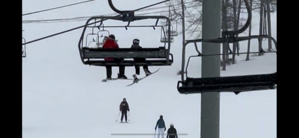 02780 Boyne Mountain Road Unit: 145 door 372