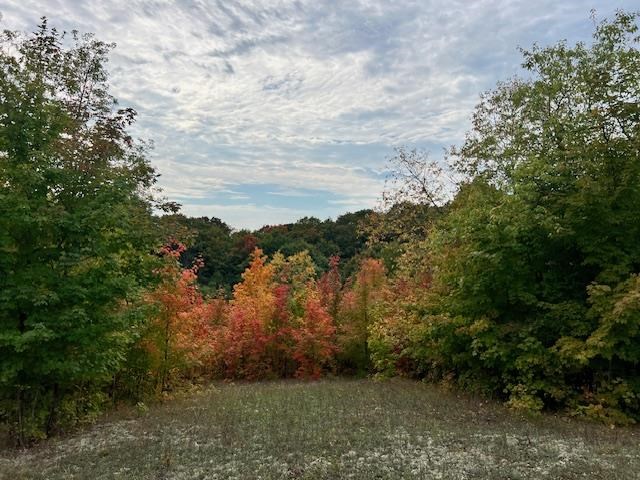 2663 Adams Road
