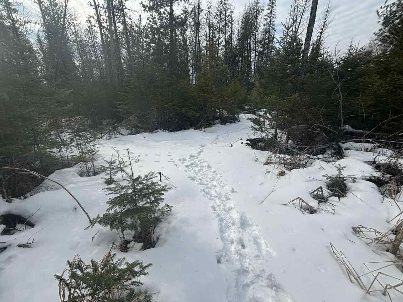 TBD US 31 HWY