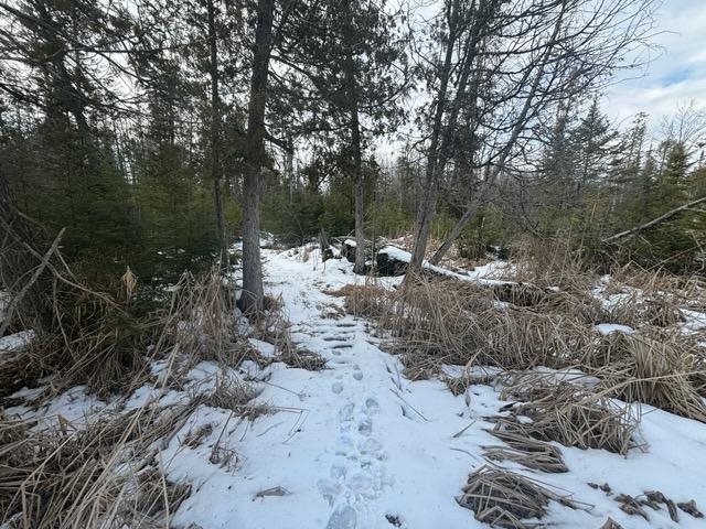 TBD US 31 HWY