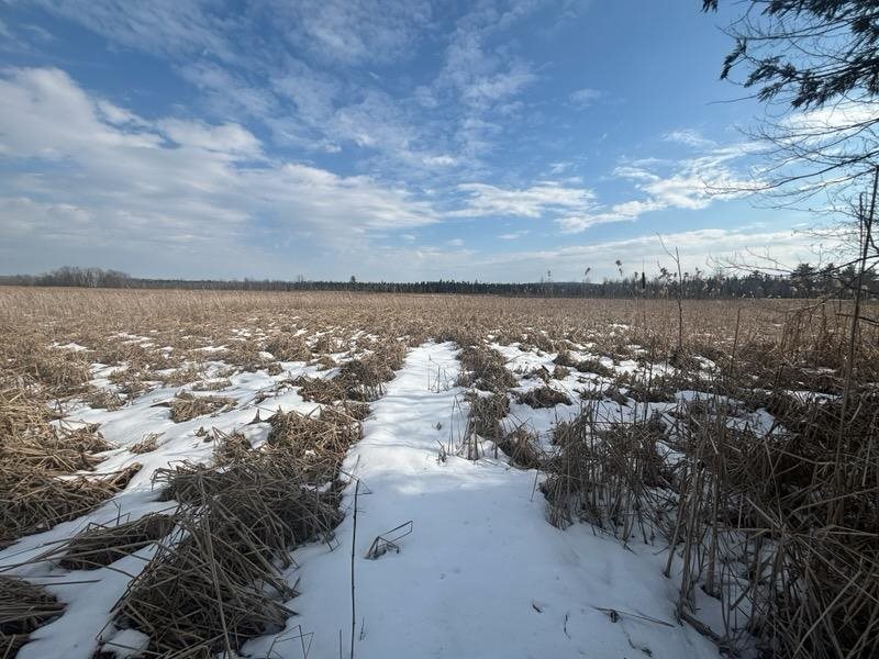 TBD US 31 HWY