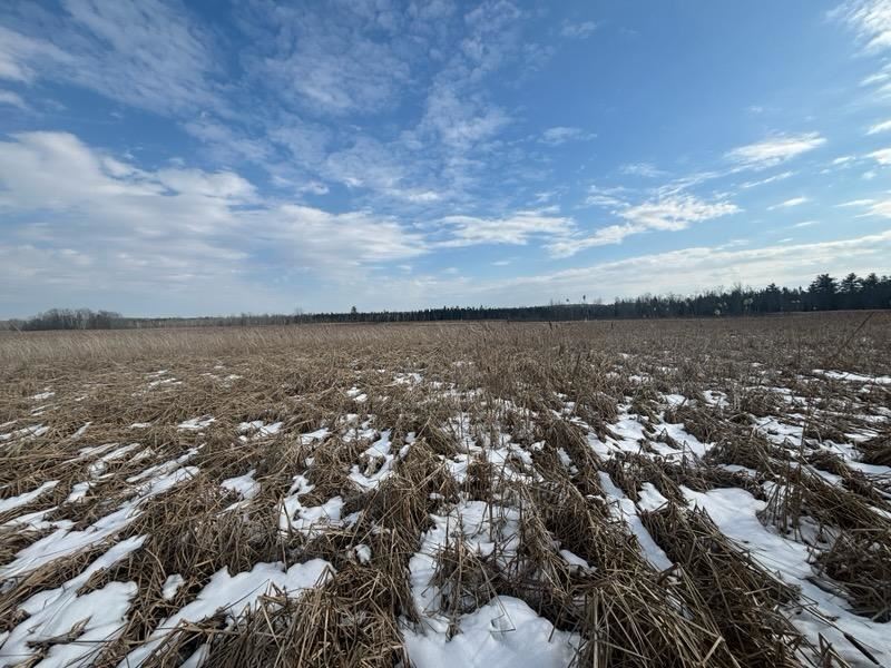 TBD US 31 HWY