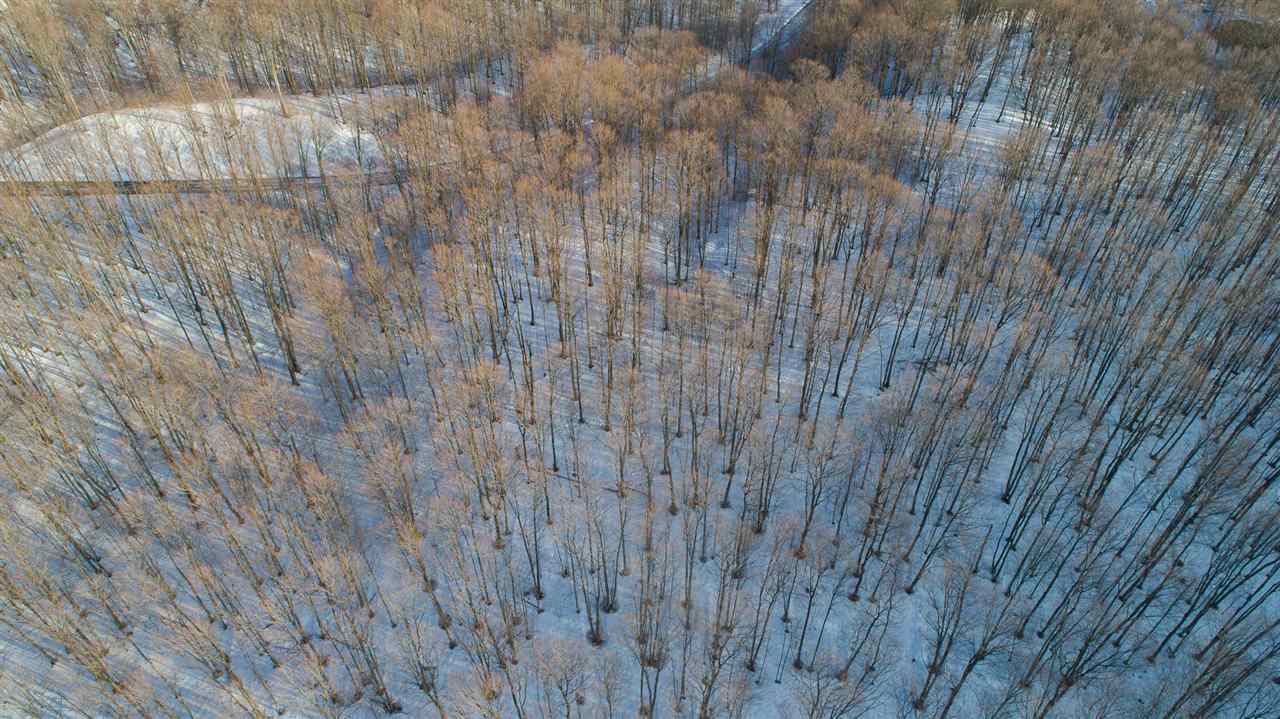 3419 Needles Drive Unit: #25