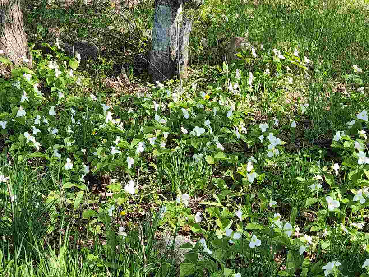 TBD N Lake Shore Drive